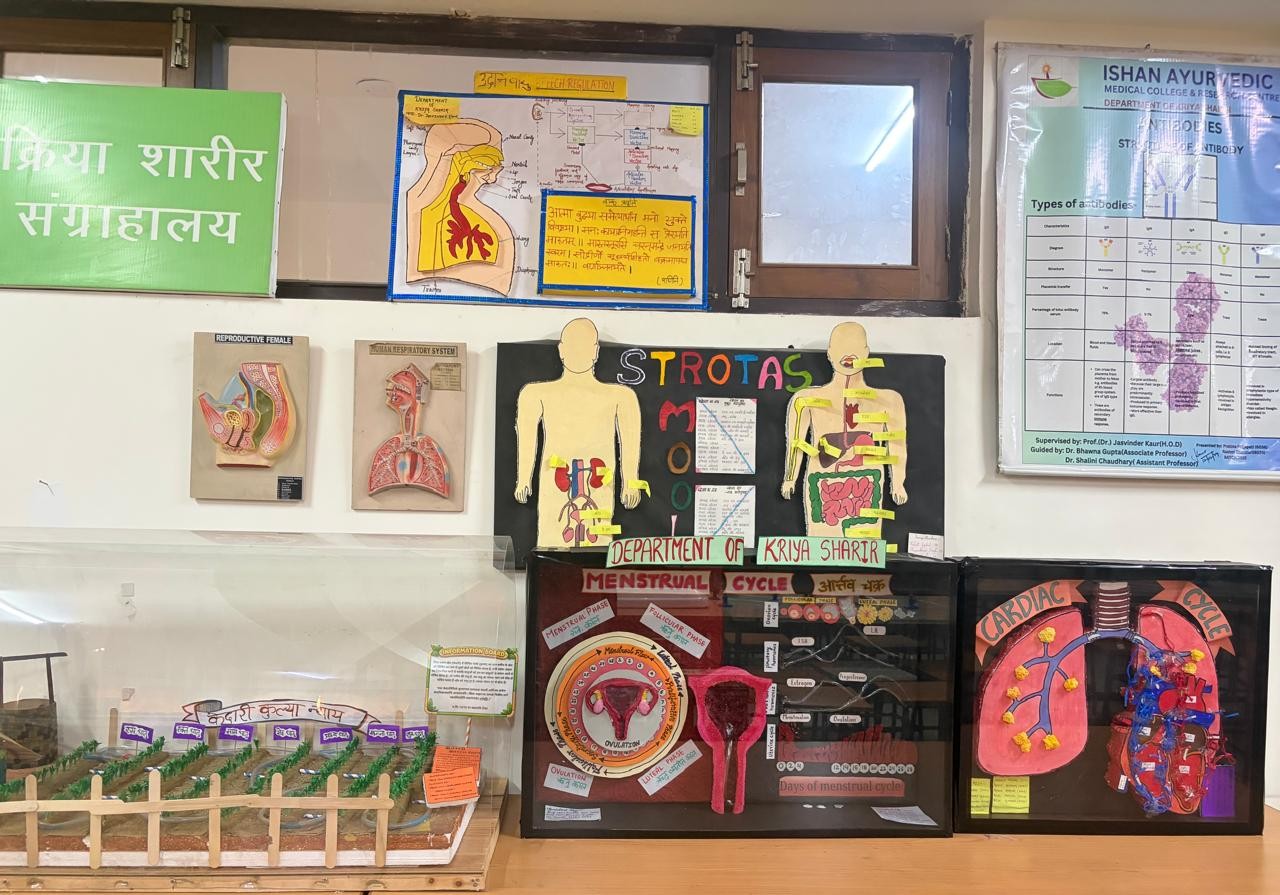 Department of Kriya Sharir - Key area 3